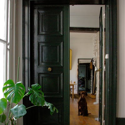 French apartment doors