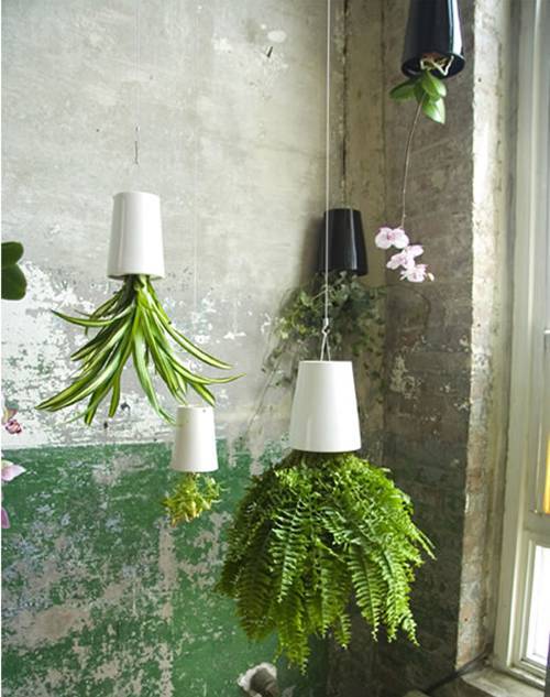 upside down plant pot