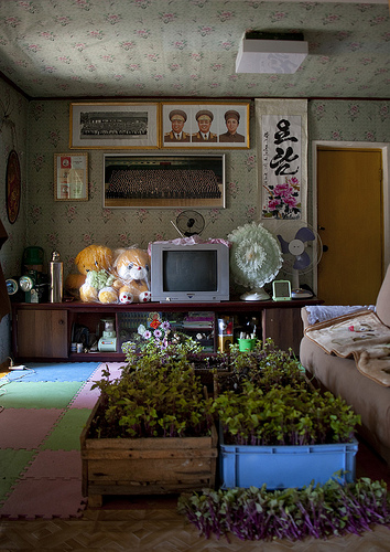 North Korean house