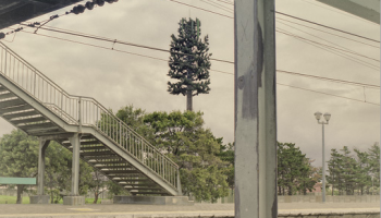 Dillon Marsh phone masts