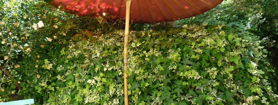garden parasol paper