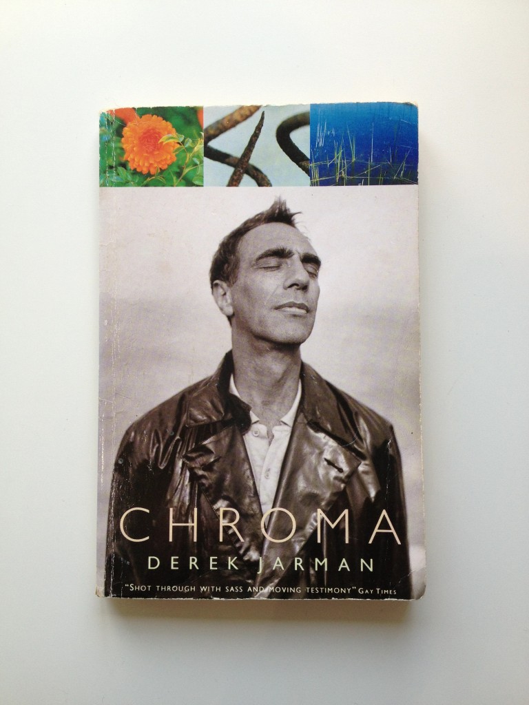 Derek Jarman book | Chroma | My Friend's House