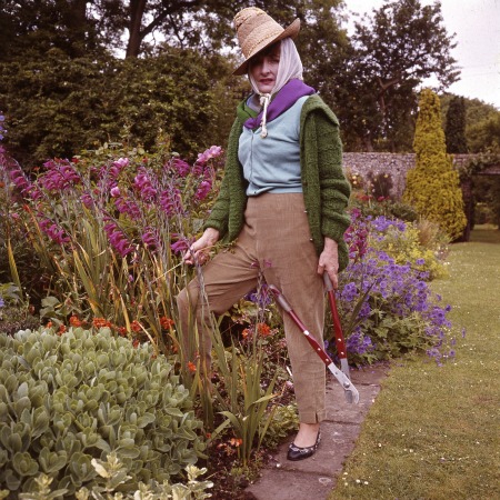 Lady-Birley-by-Valerie-Finnis | My Friend's House |Copyright-RHS