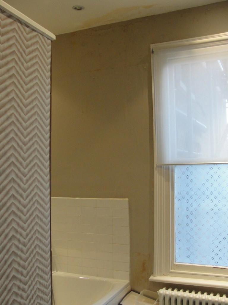 Ruined bathroom | My Friend's House