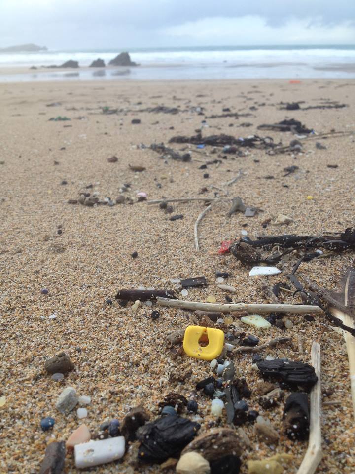 Lego washed up on beach