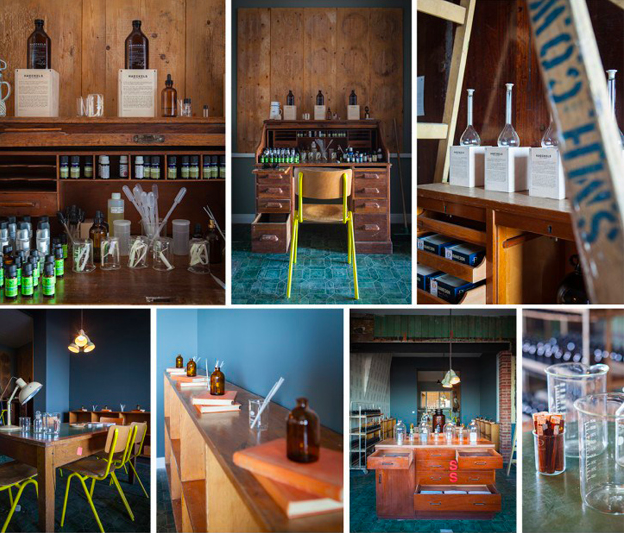 Haeckels Cliftonville