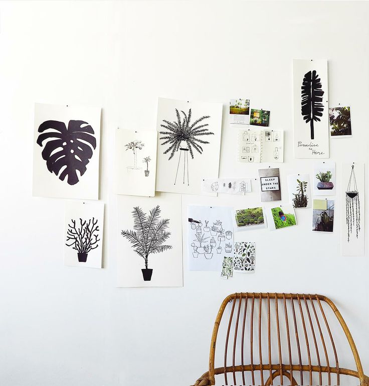 Botanical sketches