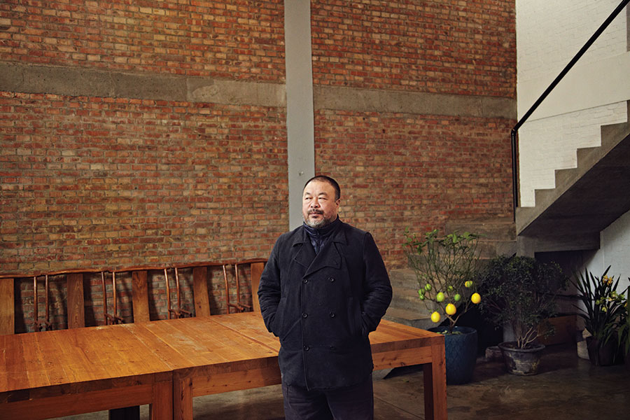Ai Weiwei | Puss Puss | My Friend's House