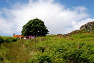 Arean cottage Eilean Shona