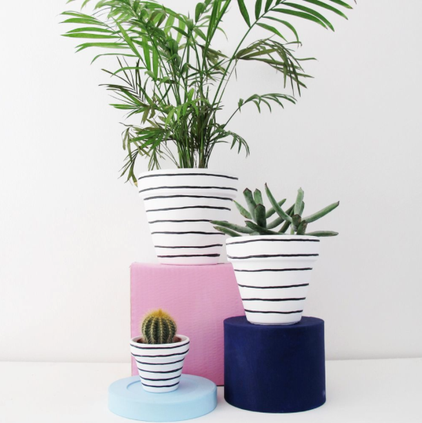 Painted plant pots