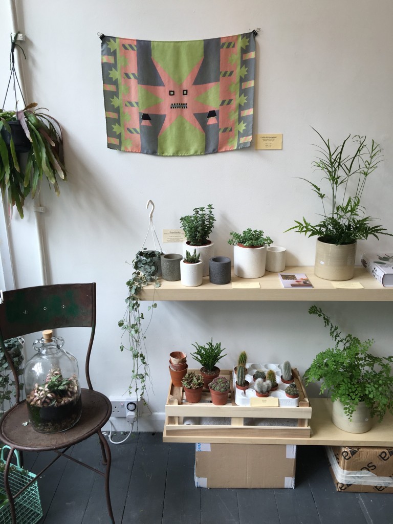 Caitlin Hinshelwood | PLants | My Friend's House